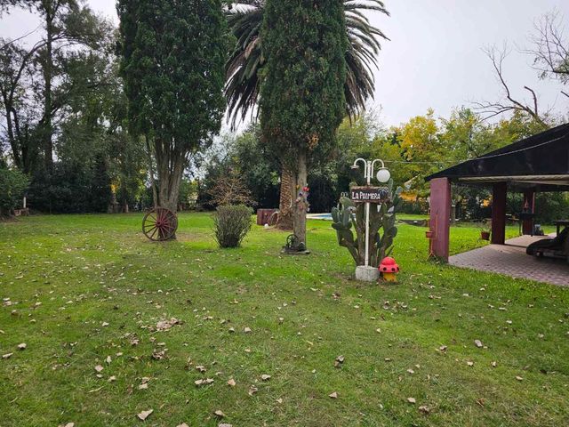 place photo 49