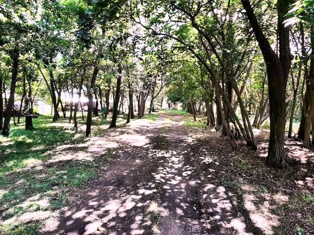 place photo 40