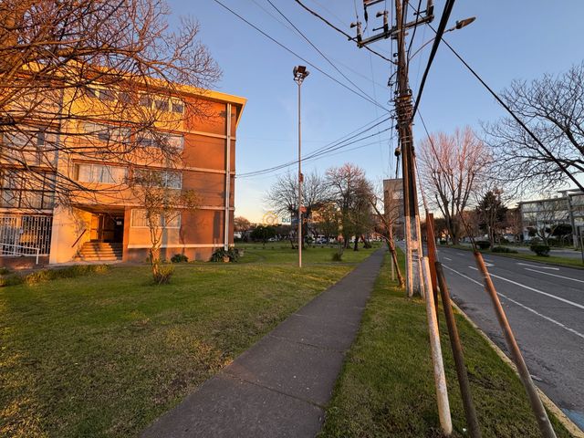 place photo 39