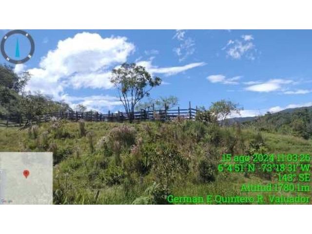 place photo 21