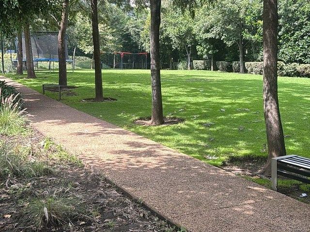 place photo 42