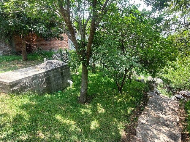 place photo 36