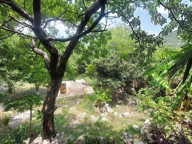 place photo 38