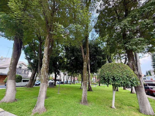 place photo 40