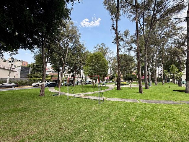 place photo 43