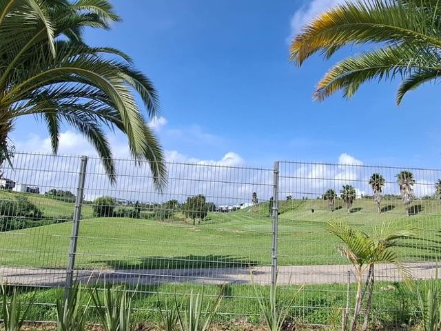 place photo 41