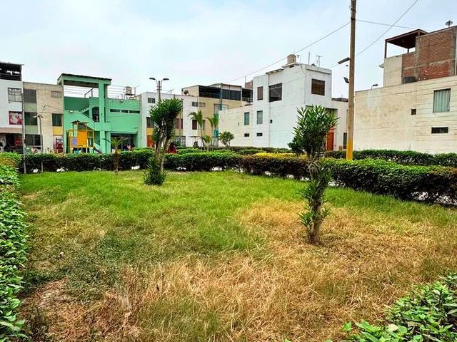 place photo 23