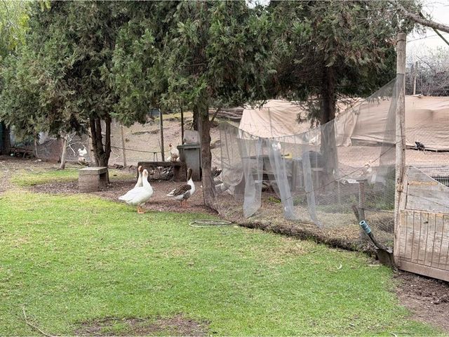 place photo 40