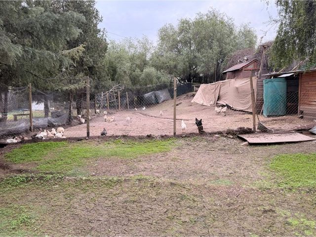 place photo 42