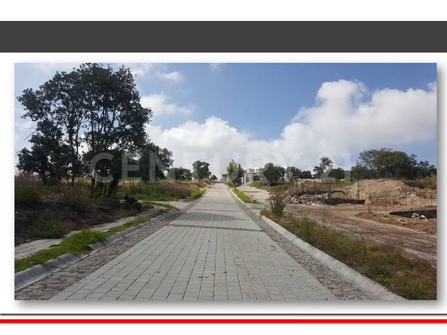 place photo 36