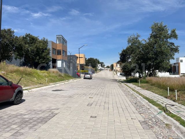 place photo 18