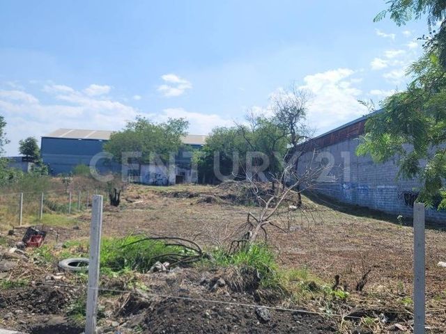 place photo 23
