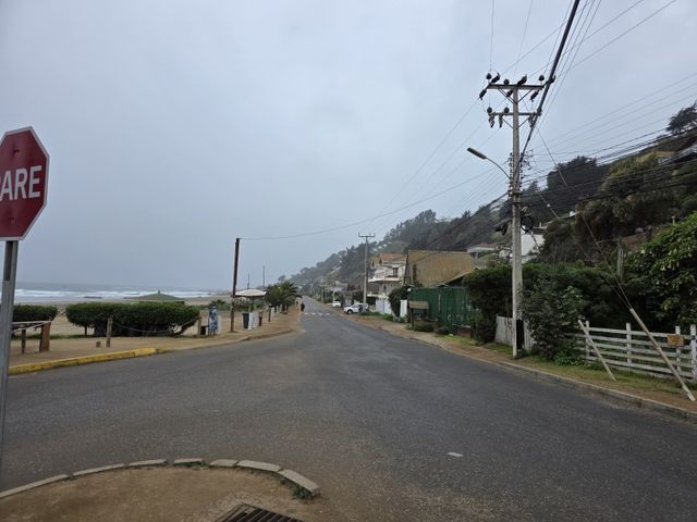 place photo 30