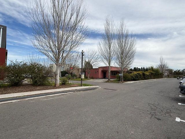 place photo 38