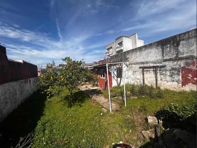 place photo 25
