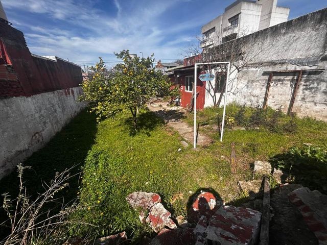 place photo 23
