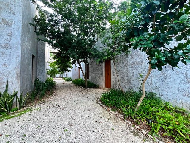 place photo 44