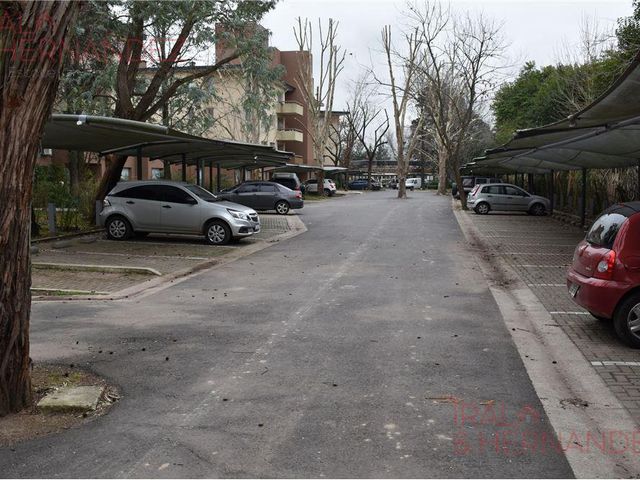 place photo 37