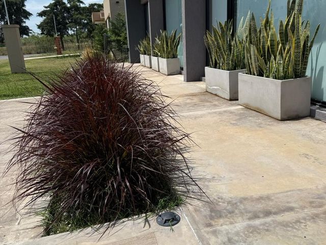 place photo 49