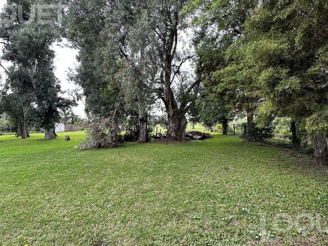 place photo 15