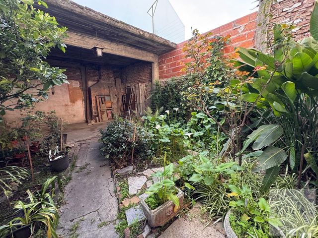 place photo 50
