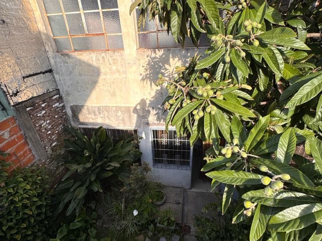 place photo 45