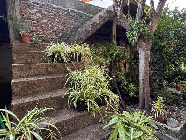 place photo 37