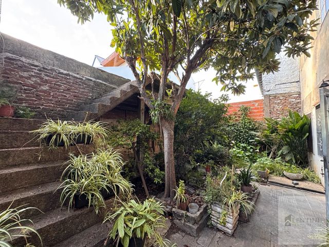 place photo 52