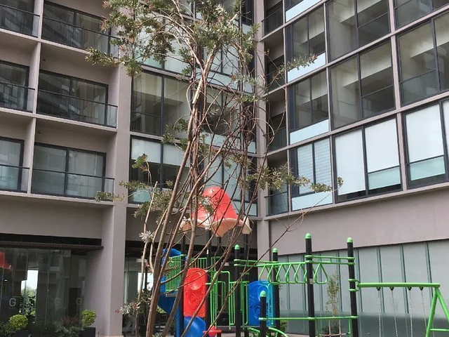 place photo 15