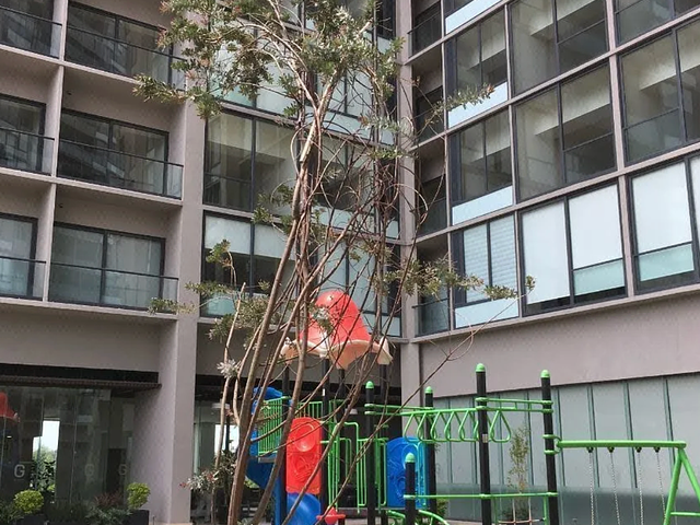 place photo 15