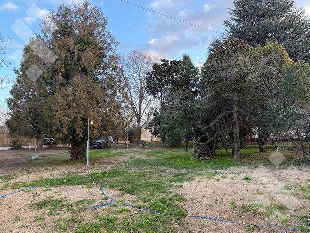 place photo 50