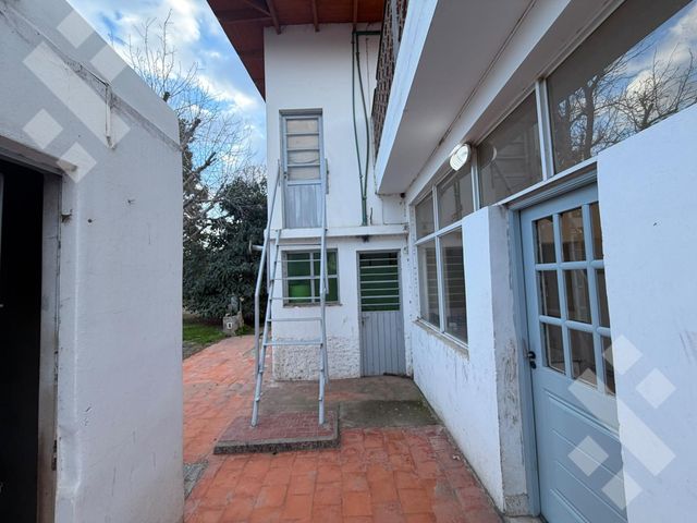 place photo 37