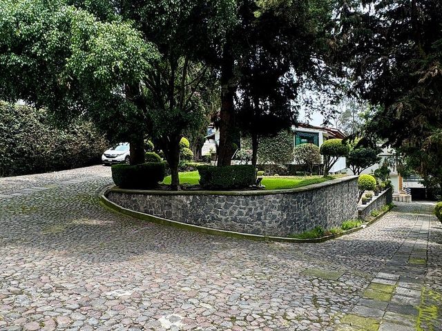 place photo 43