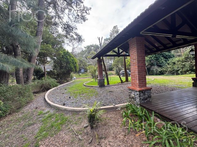 place photo 45