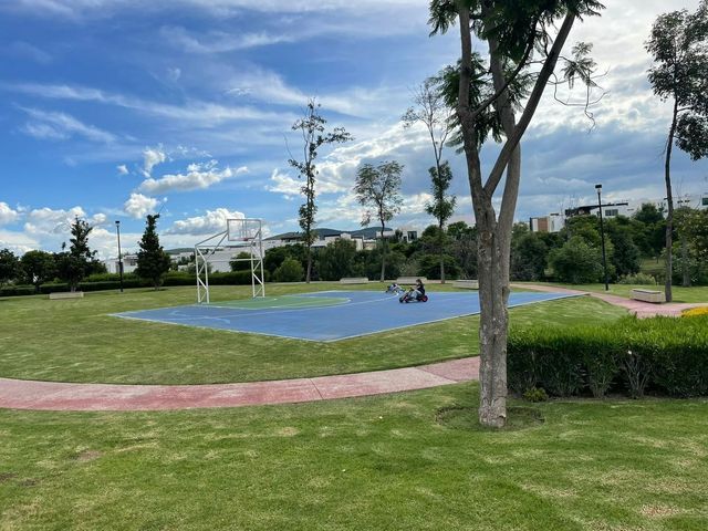 place photo 43