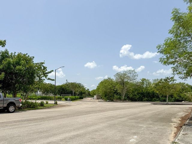place photo 25