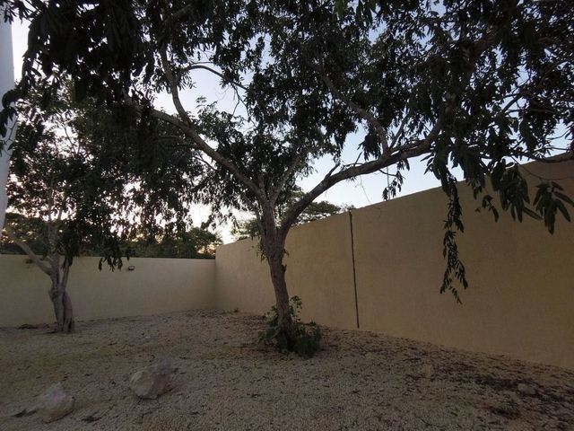 place photo 22