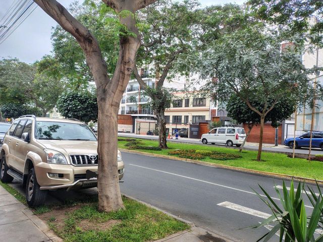 place photo 26