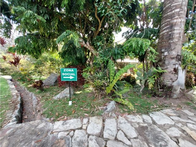 place photo 38