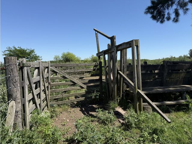place photo 22