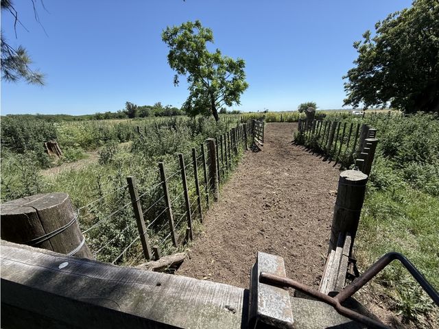 place photo 21