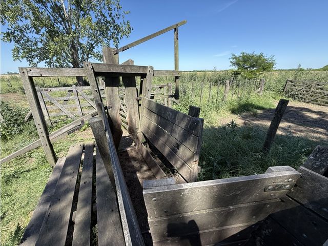 place photo 25