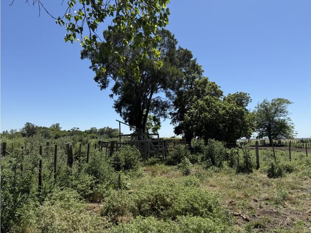 place photo 24