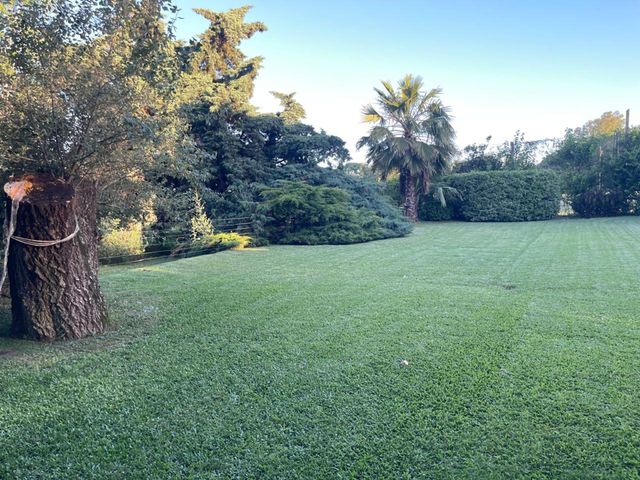 place photo 58