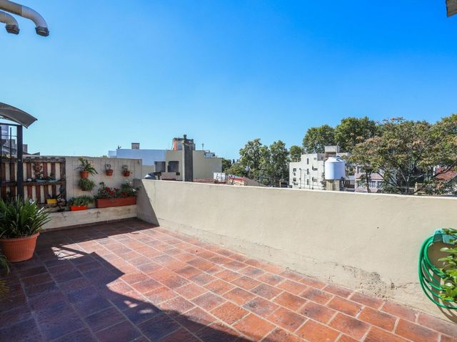 place photo 36
