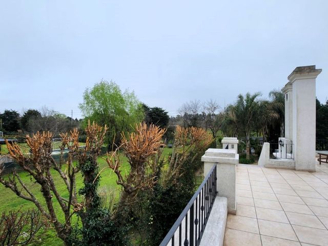 place photo 36