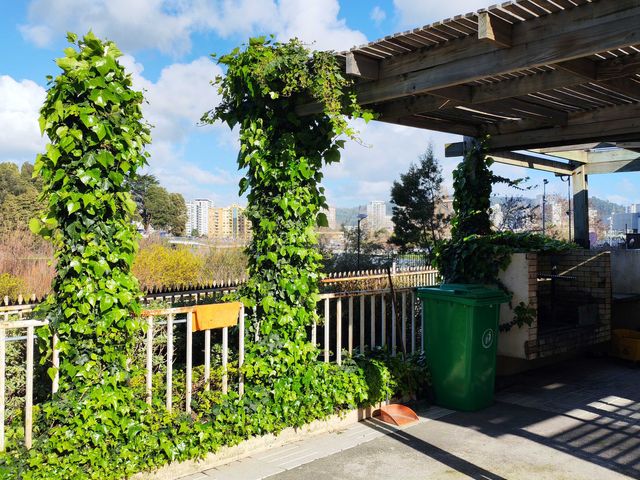 place photo 18