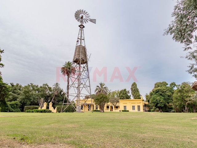 place photo 36