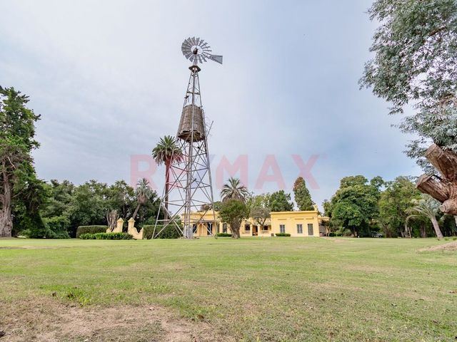 place photo 41