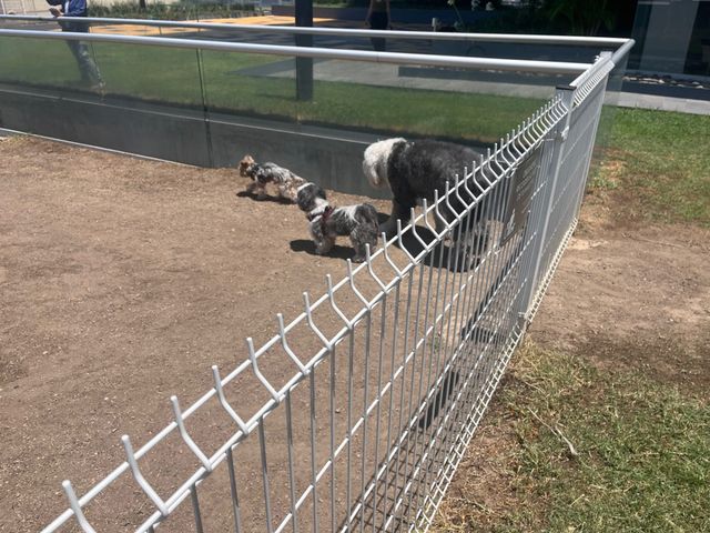 place photo 26